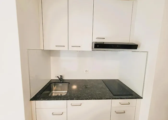 City Center Zurich Downtown Apartments Next To Zurich Hb Main Train Station Neu - Self Checkin