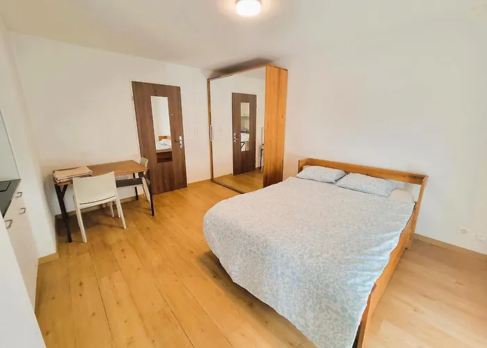 City Center Zurich Downtown Apartments Next To Zurich Hb Main Train Station Neu - Self Checkin